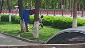 葡法大战有来有回C罗vs姆巴佩,树上还挂着巴萨的球衣🤣