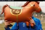 马年新春到，希望球队如骏马奔腾、昂首向前！