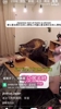 对外作秀?博主嘲讽日本球迷捡垃圾:要让日本被全世界夸奖!